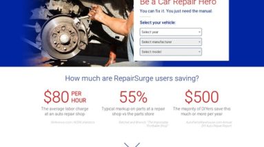 RepairSurge On-line Auto Restore Manuals