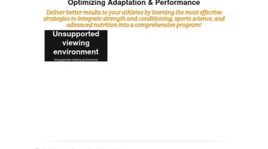 Optimizing Adaptation and Efficiency